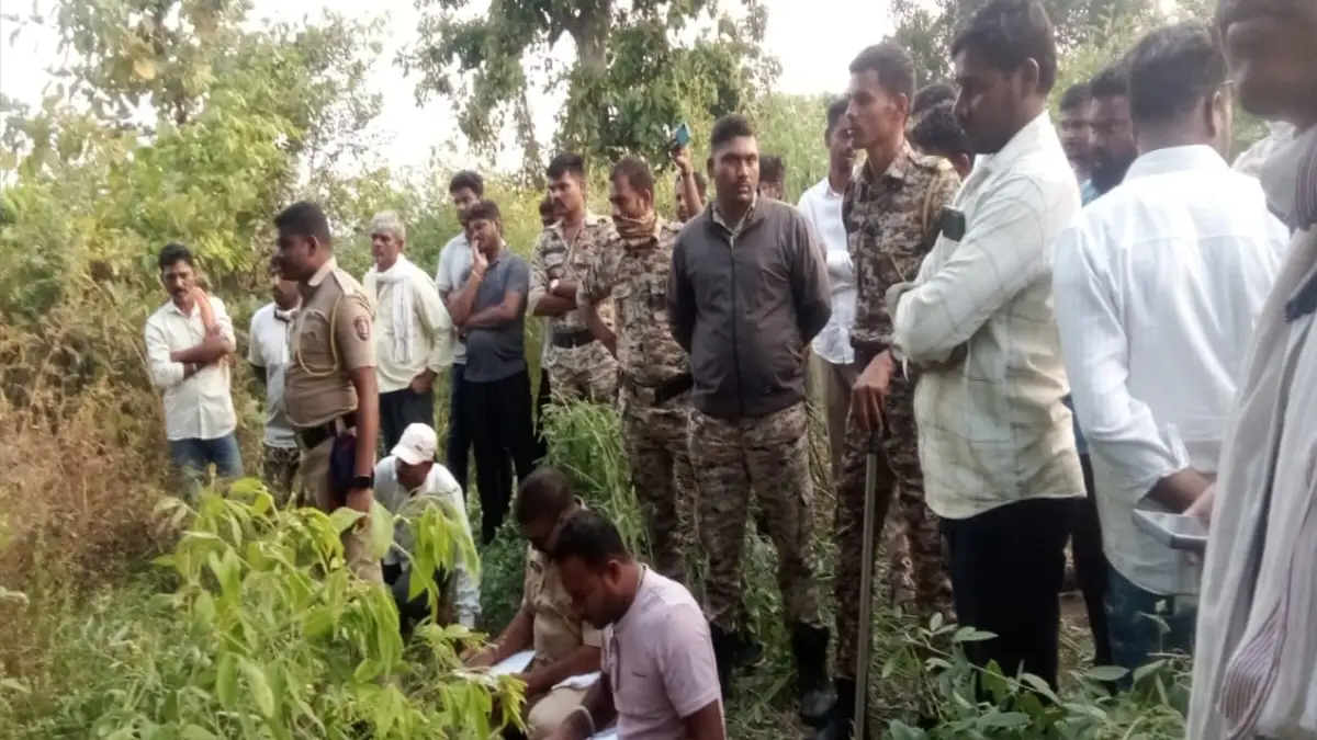 पेडगाव येथे गळफास लावलेल्या अवस्थेत युवकाचा मृतदेह