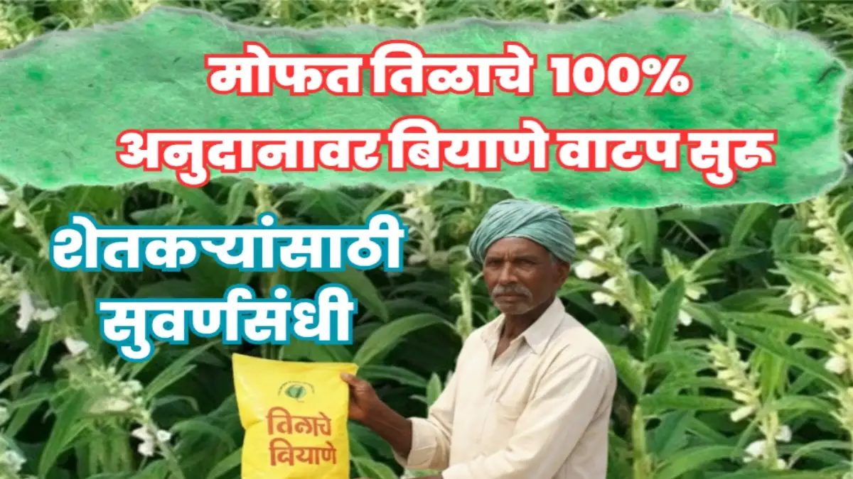 बुलढाणा जिल्ह्यात शेतकऱ्यांना तिळाचे 100% मोफत प्रमाणित बियाणे वितरित करताना