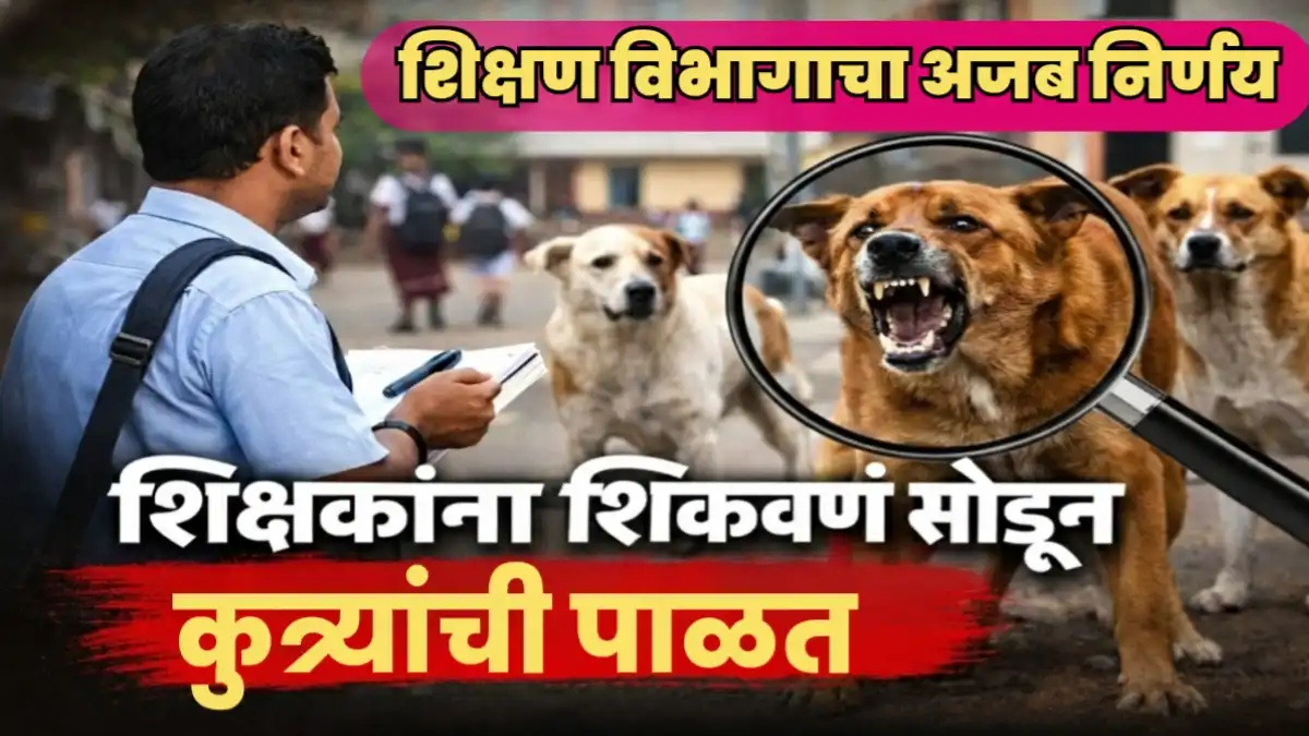शिक्षकांना शिकवणं सोडून कुत्र्यांची पाळत ठेवण्याचा शिक्षण विभागाचा अजब आणि धक्कादायक निर्णय