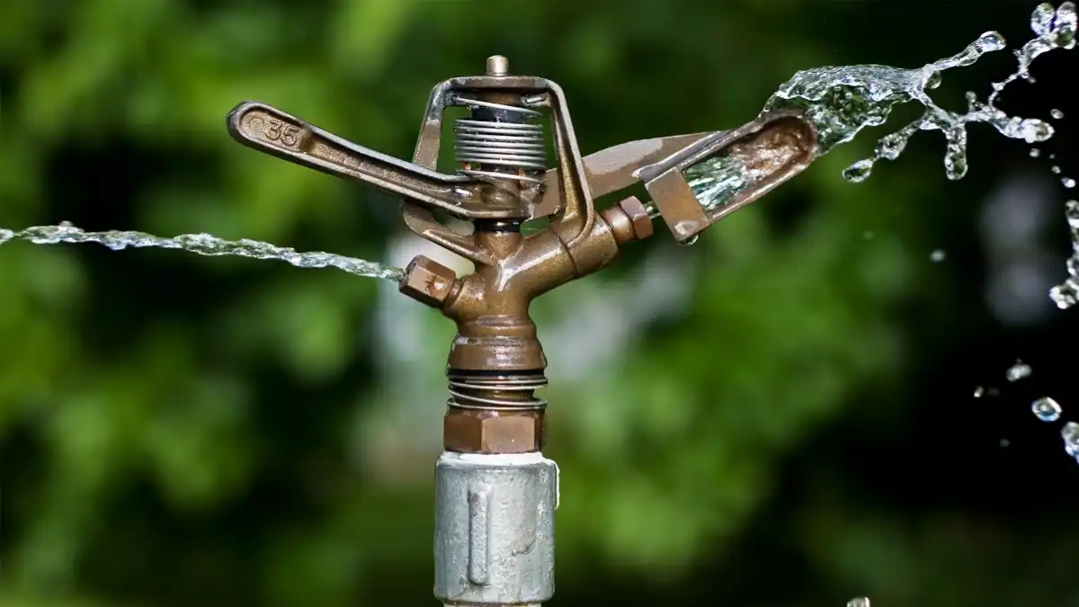 बुलढाणा जिल्ह्यात स्प्रिंकलर तोट्या चोरी प्रकरणी अटक करण्यात आलेले आरोपी