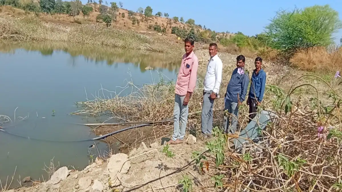 मलकापूर पांग्रा येथे ५० मोटारपंपांद्वारे काळ्यापाण्याच्या सिंचन तलावातून अवैध पाणी उपसा