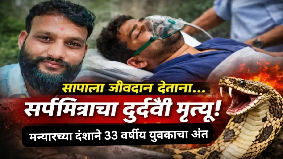 खामगाव येथील सर्पमित्र मंगेश कांबळे यांचा मण्यार सापाच्या दंशाने मृत्यू