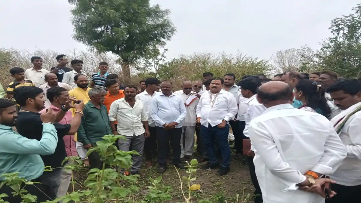 मोताळा तालुक्यात अवकाळी पावसामुळे नुकसानग्रस्त शेताची पाहणी करताना आमदार धर्मवीर संजू गायकवाड.