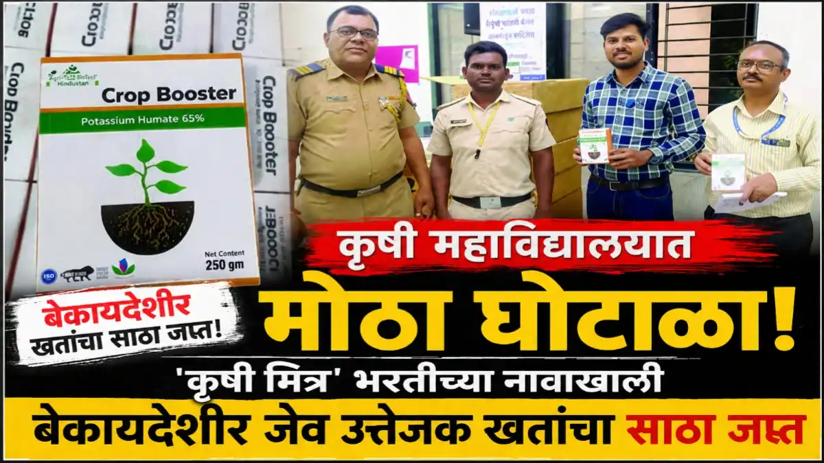 बुलढाणा येथील डॉ. राजेंद्र गोडे कृषी महाविद्यालयात बेकायदेशीर जैव उत्तेजक खतांचा साठा जप्त करताना कृषी विभागाचे अधिकारी