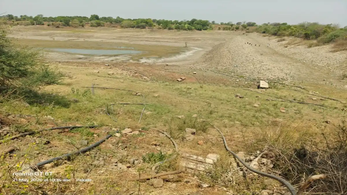 सावंगी माळी येथील कोरडा पडलेला तलाव, साखरखेर्डा परिसरातील भीषण पाणीटंचाईचे दृश्य