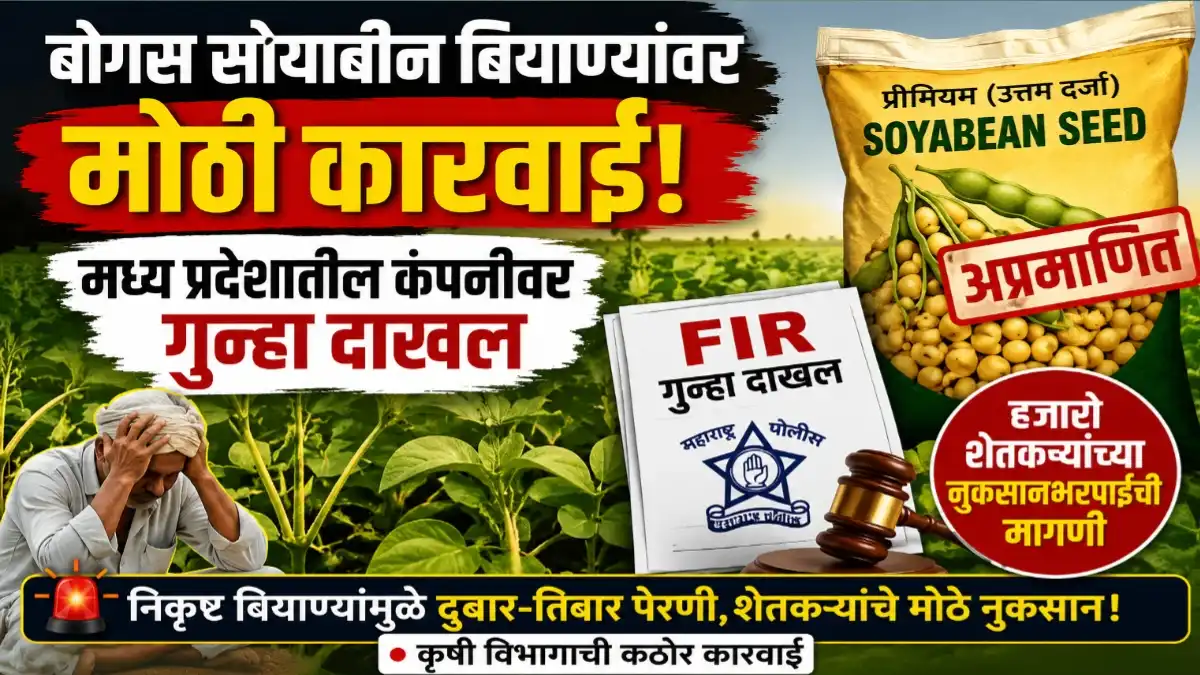 बोगस सोयाबीन बियाणे प्रकरणी मध्य प्रदेशातील कंपनीवर बुलढाण्यात गुन्हा दाखल