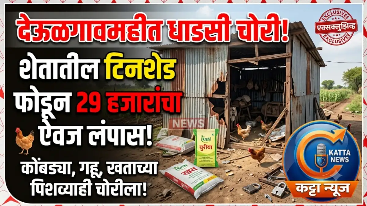 देऊळगावमही शिवारात टिनशेड फोडून 29 हजारांचा ऐवज चोरी