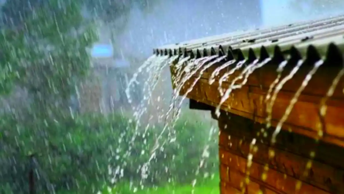 IMD Weather Update: बुलढाण्यासह विदर्भात पुढील 7 दिवस पावसाची शक्यता
