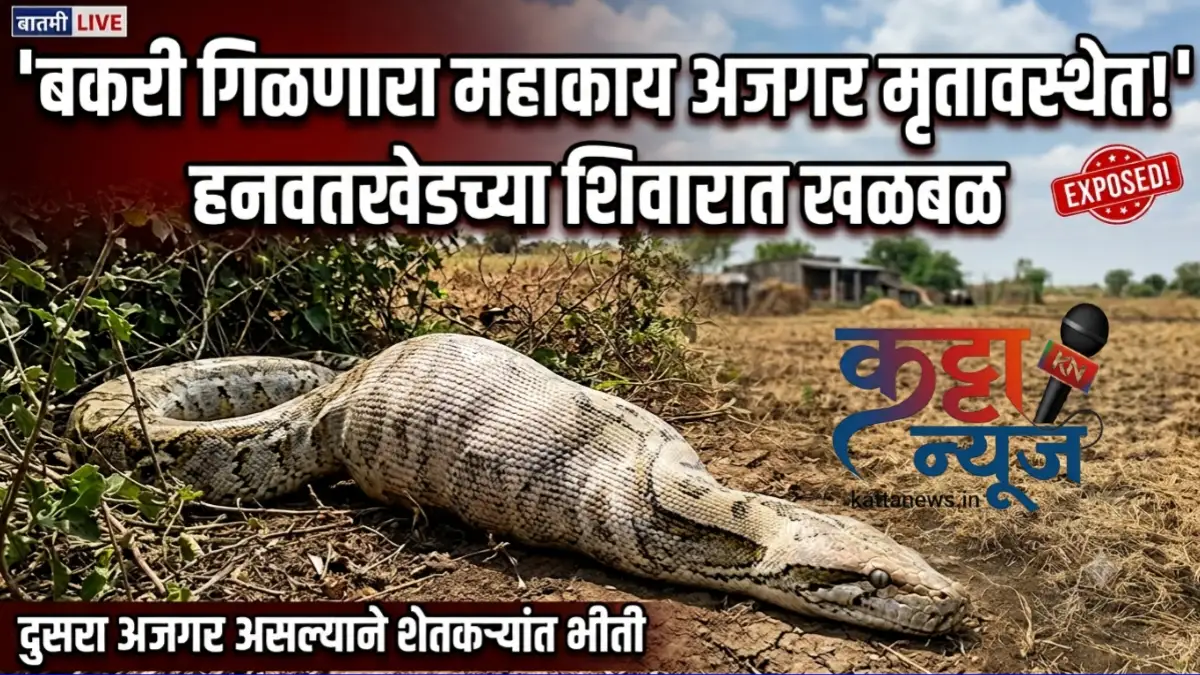 हनवतखेडमध्ये बकरी गिळणारा महाकाय अजगर मृतावस्थेत