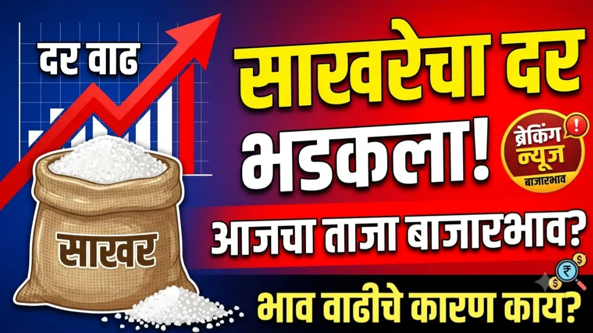 साखरेचे भाव आजचे आणि साखरेचे आजचे बाजार भाव