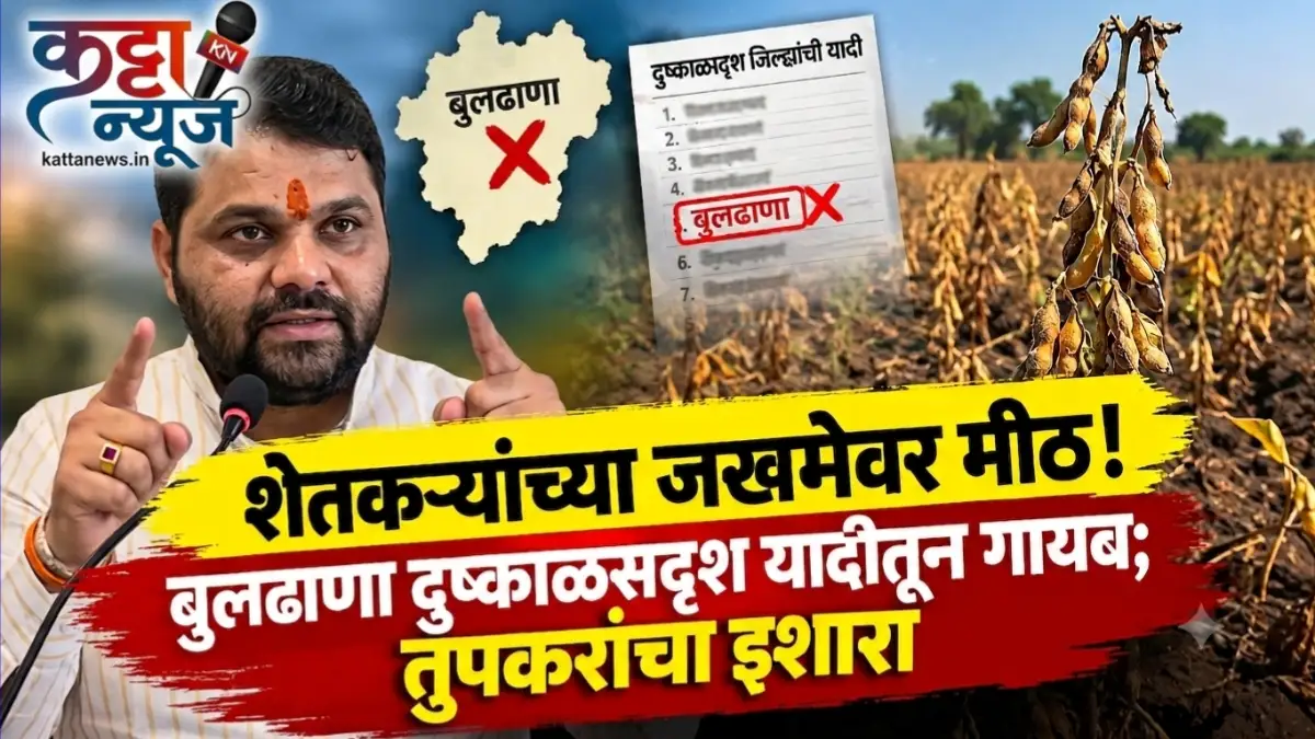 Buldhana News: बुलढाणा दुष्काळसदृश यादीतून वगळलेली होरपळलेली शेती