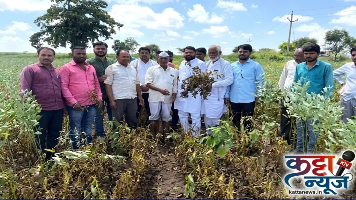 करपलेली सोयाबीन घेऊन शेतकरी बुलढाणा जिल्हाधिकारी कार्यालयासमोर आंदोलन करताना