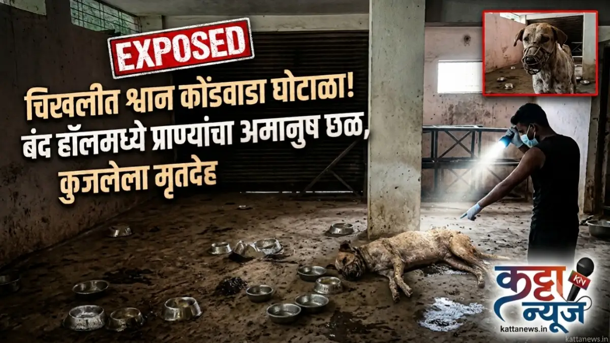 चिखली श्वान निर्बीजीकरण मोहिमेत कुत्र्यांना कोंडलेला बंद हॉल