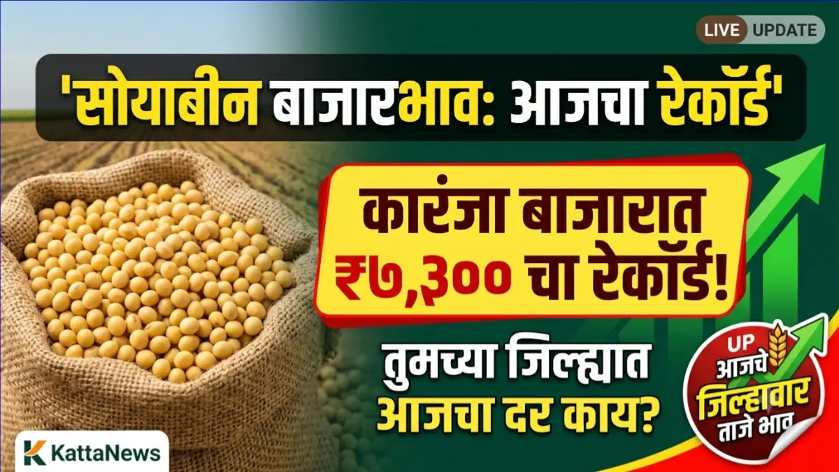 Soyabean Rate Today Maharashtra आजचे सोयाबीन बाजारभाव