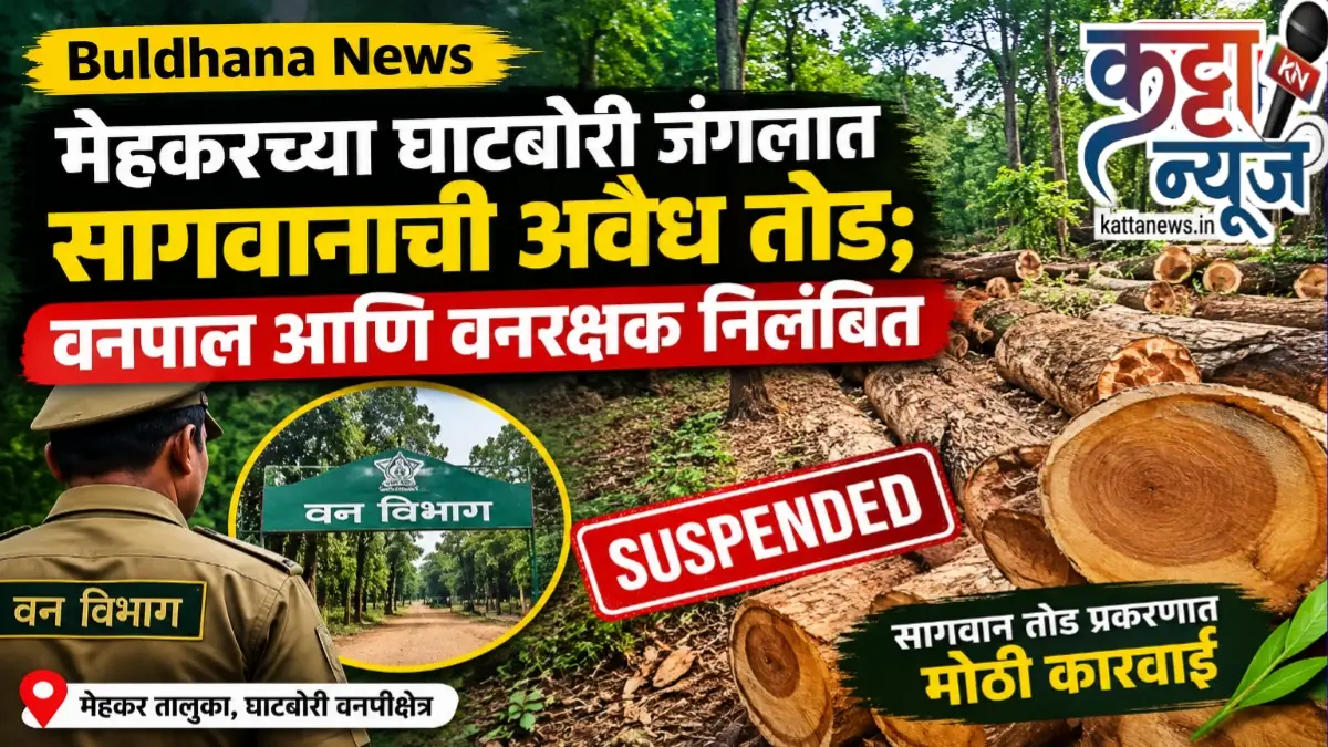 Buldhana News: मेहकर तालुक्यातील घाटबोरी वनक्षेत्रातील सागवान वृक्षतोड प्रकरण