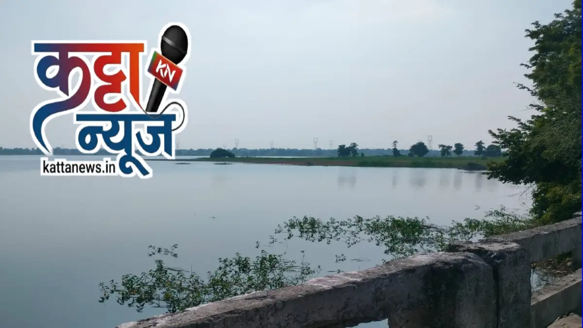 देऊळगाव राजा तालुक्यातील शिवनी आरमाळ आणि अंढेरा परिसरातील धरणांवरील पाणी उपशाच्या तपासणीची मागणी