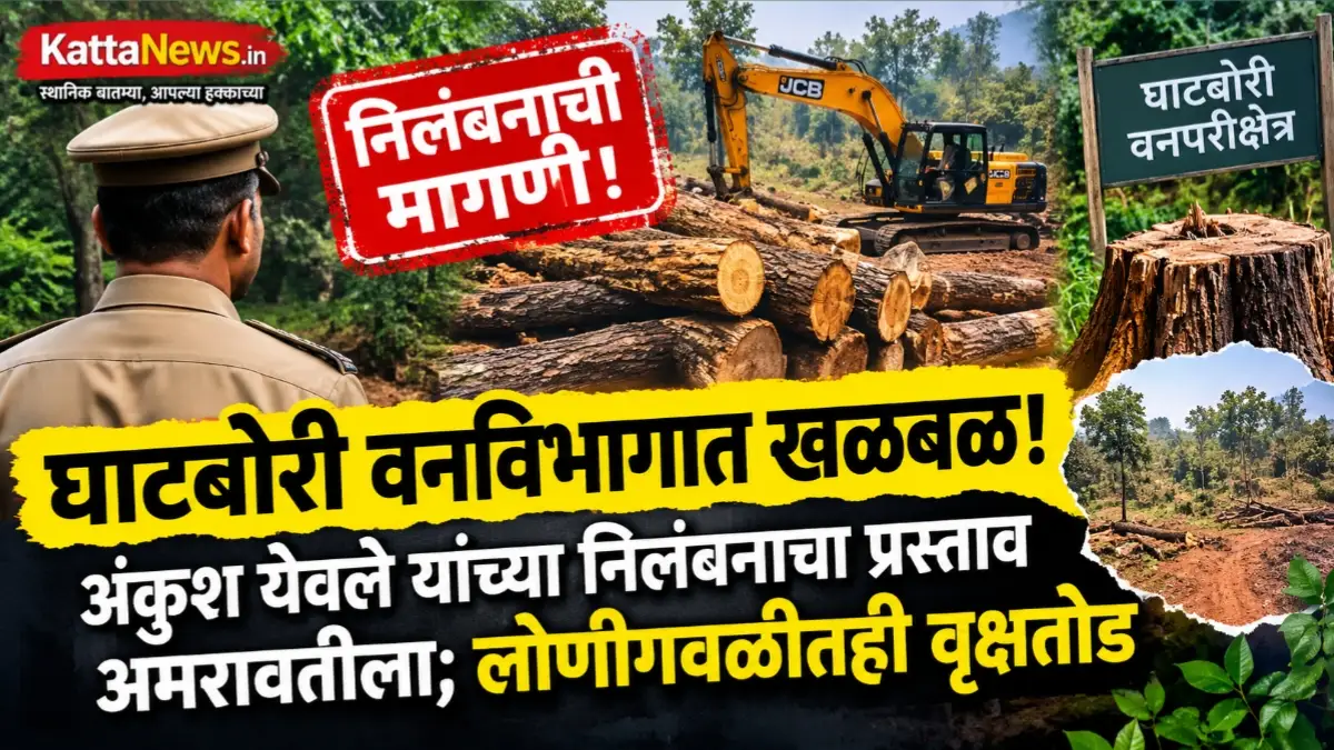 घाटबोरी वनपरिक्षेत्रातील कथित सागवान वृक्षतोड आणि अंकुश येवले यांच्या निलंबनाच्या प्रस्तावाबाबतची बातमी