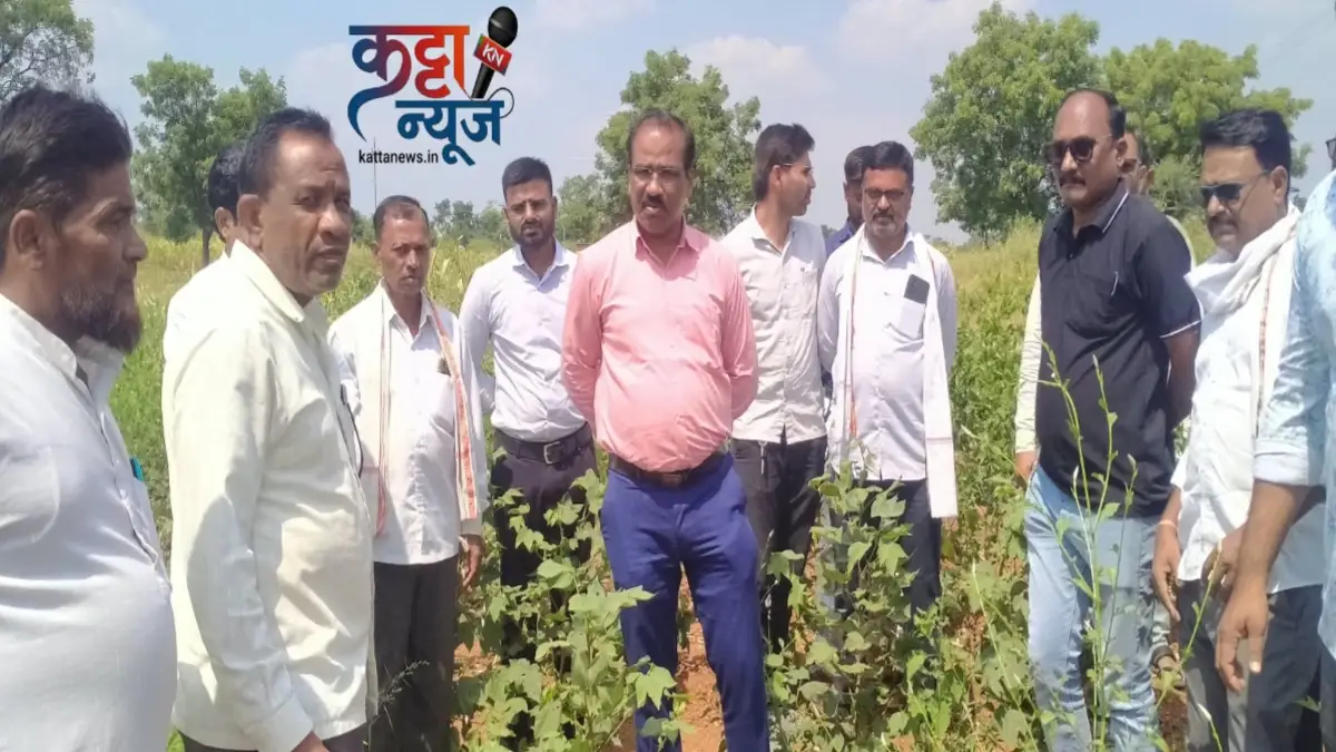साखरखेर्डा परिसरातील सोयाबीन आणि कपाशीच्या नुकसानीची पाहणी